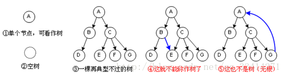 树与图的结构区别