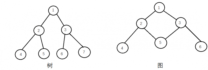树与图的区别