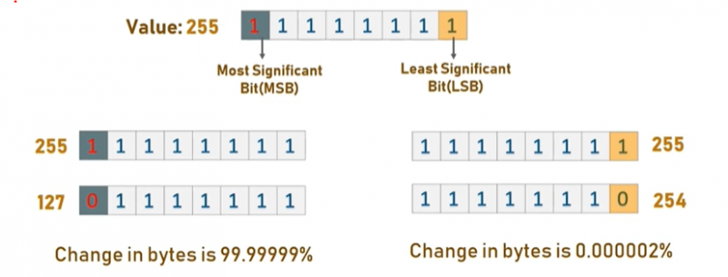 图片来自 Edureka [隐写术](https://www.edureka.co/blog/steganography-tutorial)教程