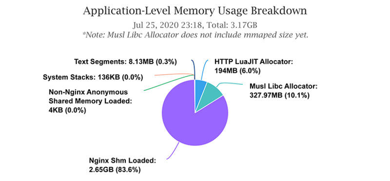 Memory usage breakdown for huge shm zones