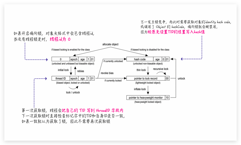 hashCode竟然不是根据对象内存地址生成的？还对内存泄漏与偏向锁有影响？