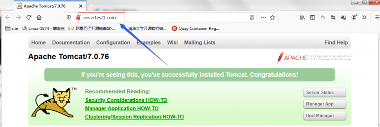 Nginx/Httpd反代tomgo配置