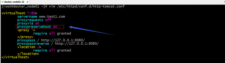 Nginx/Httpd反代tomgo配置