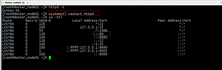 Nginx/Httpd反代tomgo配置