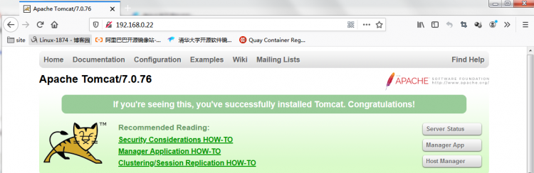 Nginx/Httpd反代tomgo配置