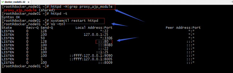 Nginx/Httpd反代tomgo配置