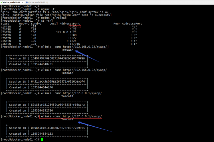 Nginx/Httpdvrrptomgo配置