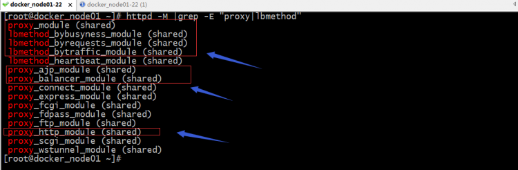 Nginx/Httpdvrrptomgo配置