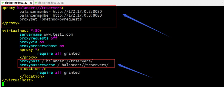 Nginx/Httpdvrrptomgo配置