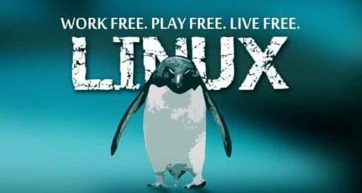 0基础如何更快速入门Linux系统？全学Linux有哪些就业方向？