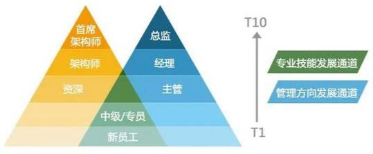 程序员高薪盛宴背后：程序员正在消失？