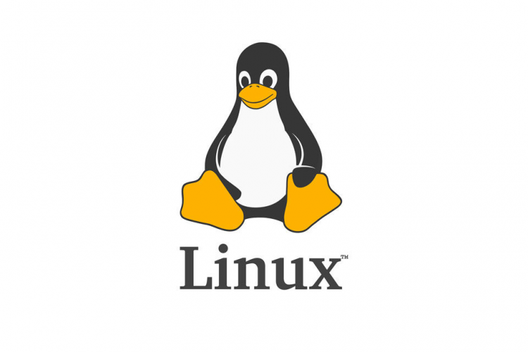 自动化测试安卓工程师必备的 Linux 培训资料