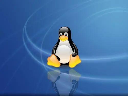 干货分享：盘点报告那些最常用的Linux.bat，需撑握！