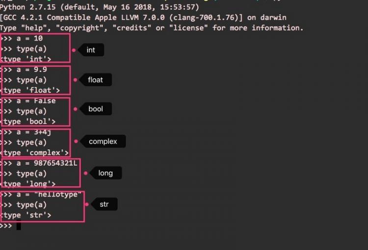 【Python】python应用（5）：变量类型与数据结构