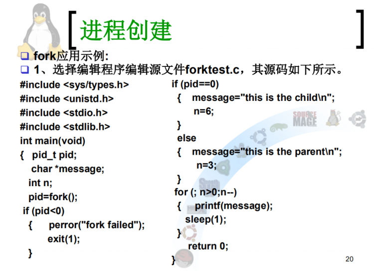 学习pid进程以及fork()