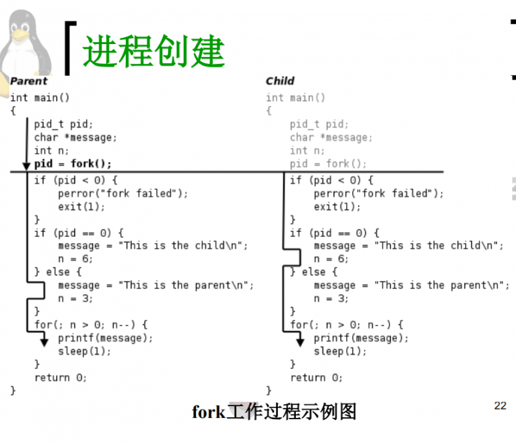 学习pid进程以及fork()