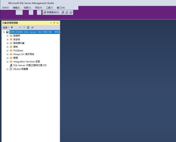 Microsoft SQL Server Management Studio 图标不显示。