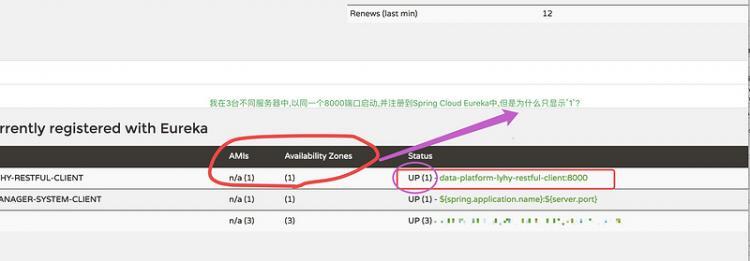 【Java】Spring Cloud Eureka 集群,客户端不同服务器同端口注册只能注册一个,无法负载均衡