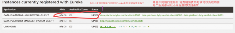 【Java】Spring Cloud Eureka 集群,客户端不同服务器同端口注册只能注册一个,无法负载均衡