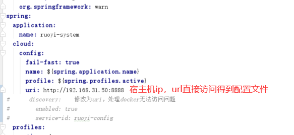 【Docker】docker服务无法获取SpringCloud-config配置中心配置