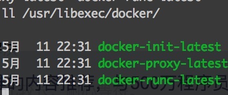 【Docker】exec: 