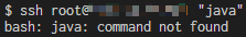 【linux】Linux SSH 发送远程命令 java 但提示没有命令？