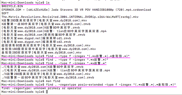 【linux】Mac  Terminal Find 指令不支持 -regextype posix-extended 吗