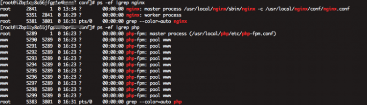 【nginx】linux 使用lnmp 报Unable to open primary script