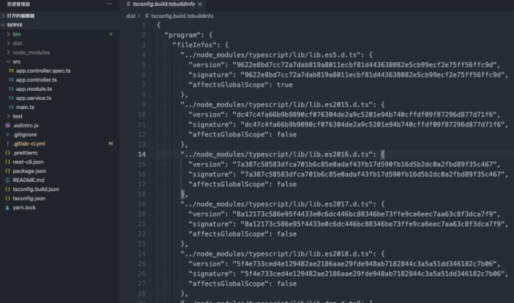 Node TS 框架使用的问题