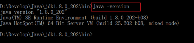 【Java】Java语法 | 开发环境搭建