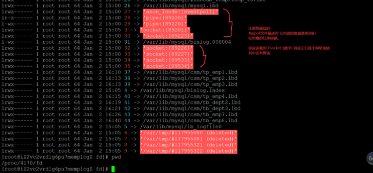 【Python】你心中最高大上最牛逼的技术到底是什么大声告诉我