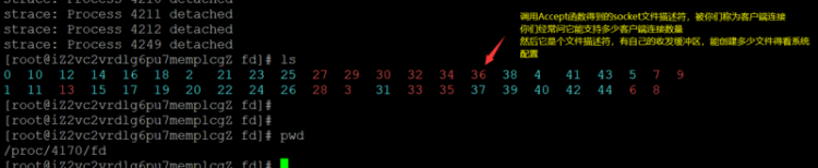 【Python】你心中最高大上最牛逼的技术到底是什么大声告诉我