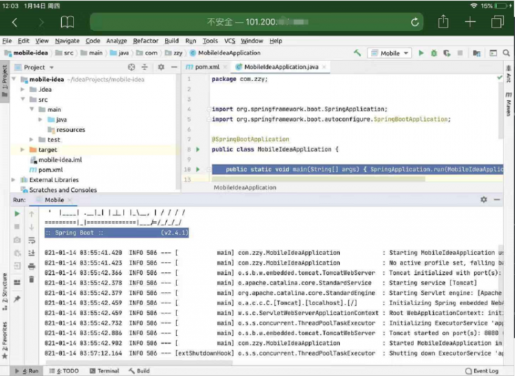 【Java】我在iPad Air 和 iPhone上都装了个IntelliJ IDEA，撸了一个SpringBoot项目，牛逼哄哄...