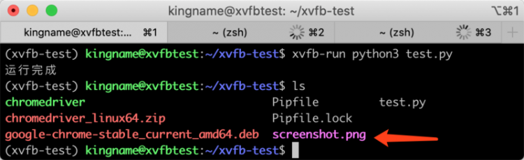 【Python】在 Linux 服务器中创建假桌面运行模拟浏览器有头模式