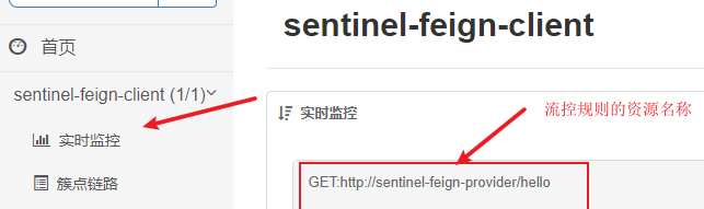 Sentinel高级