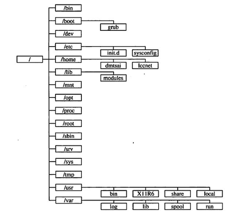 Linux目录结构介绍各目录作用