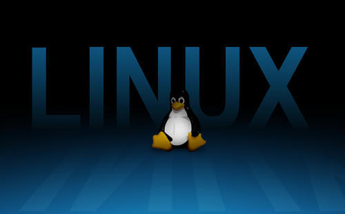 Linux 5.12 的 exFAT 文件系统更快删除大文件