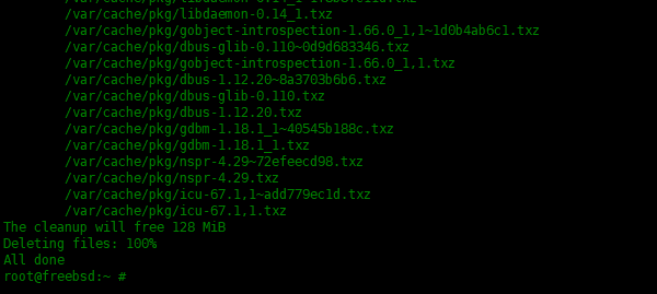在FreeBSD中pkg包管理器使用实例