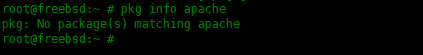 在FreeBSD中pkg包管理器使用实例
