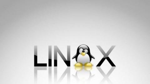linux info命令使用