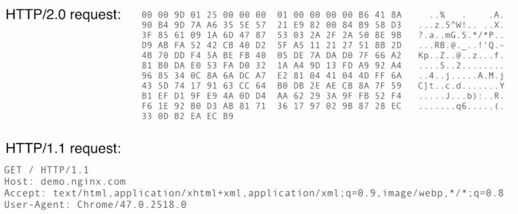 Fundebug网站升级HTTP/2，真的变快了！