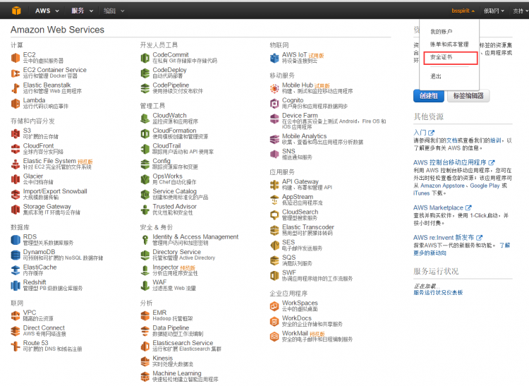 【Nodejs教程精选】构建自己的Aleax查询服务