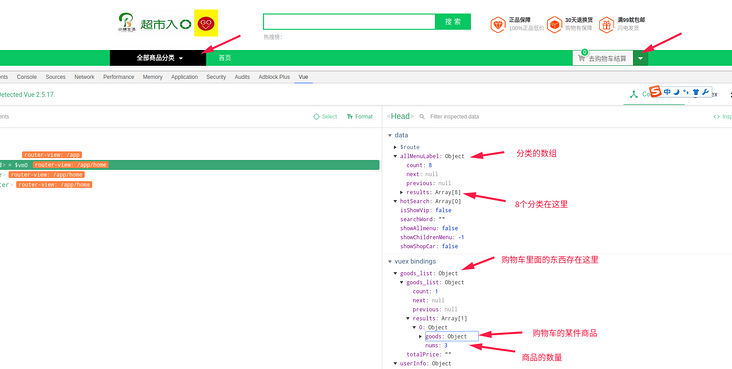 vue Devtools