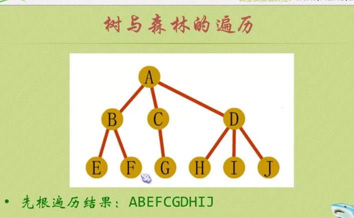 C 语言中树结构定义和使用