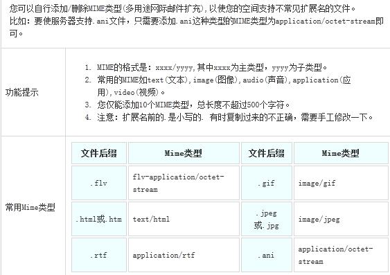 配置 IIS 虚拟主机添加自定义文件类型