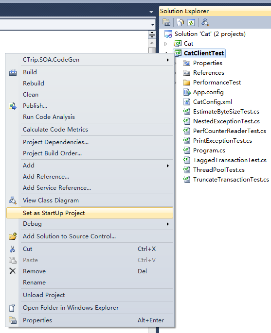 Set CatClientTest to be Startup Project