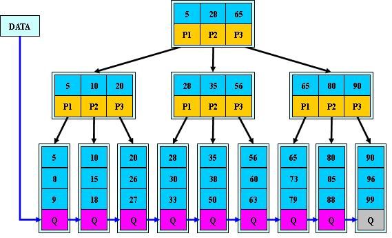Python B-Tree B 树 数据结构