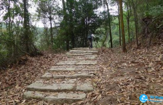 岐澳古道入口在哪 岐澳古道游记