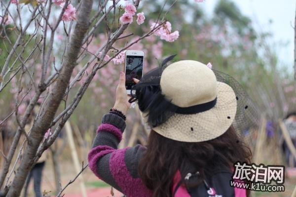 年春节期间深圳大鹏区有哪些好玩的地方推荐