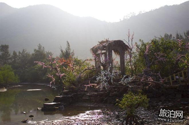 年春节期间深圳大鹏区有哪些好玩的地方推荐